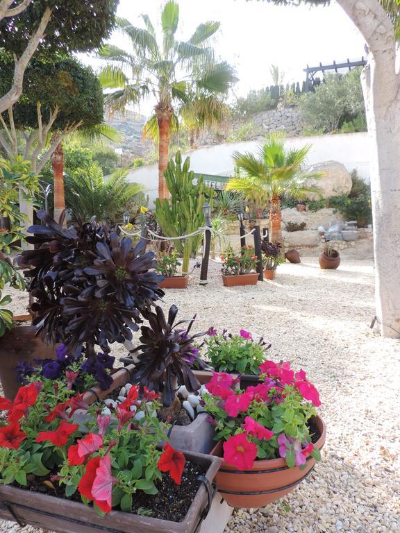 Hotel Las Calas Агуа Амарга Екстериор снимка